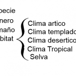 Ejemplo de Cuadro Sinoptico